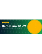 Bornes pro 22 kW